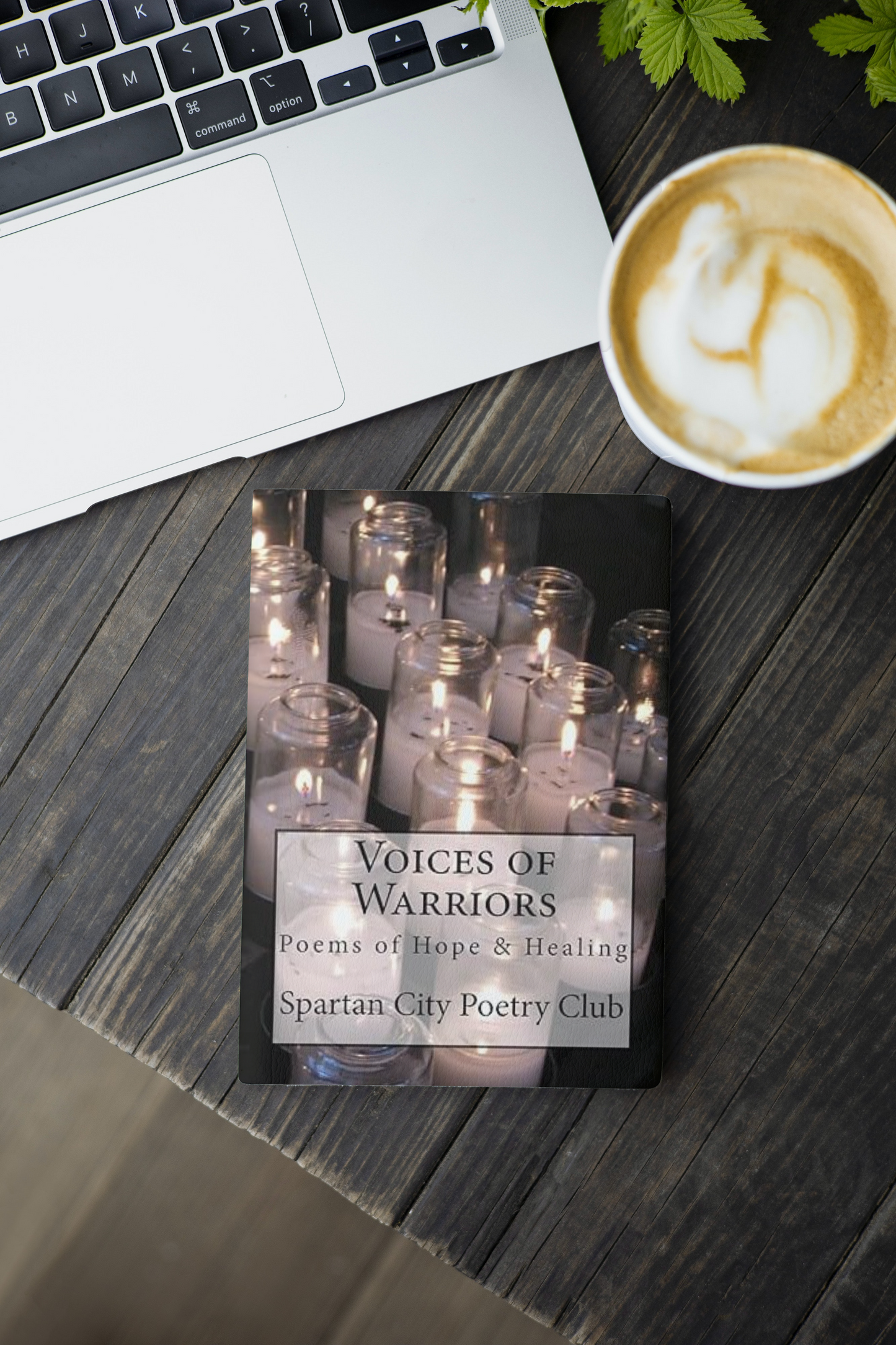 Voices of Warriors: Poems of Hope & Healing